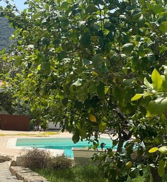 Sa Murta Bianca Guesthouse Budoni Exterior foto